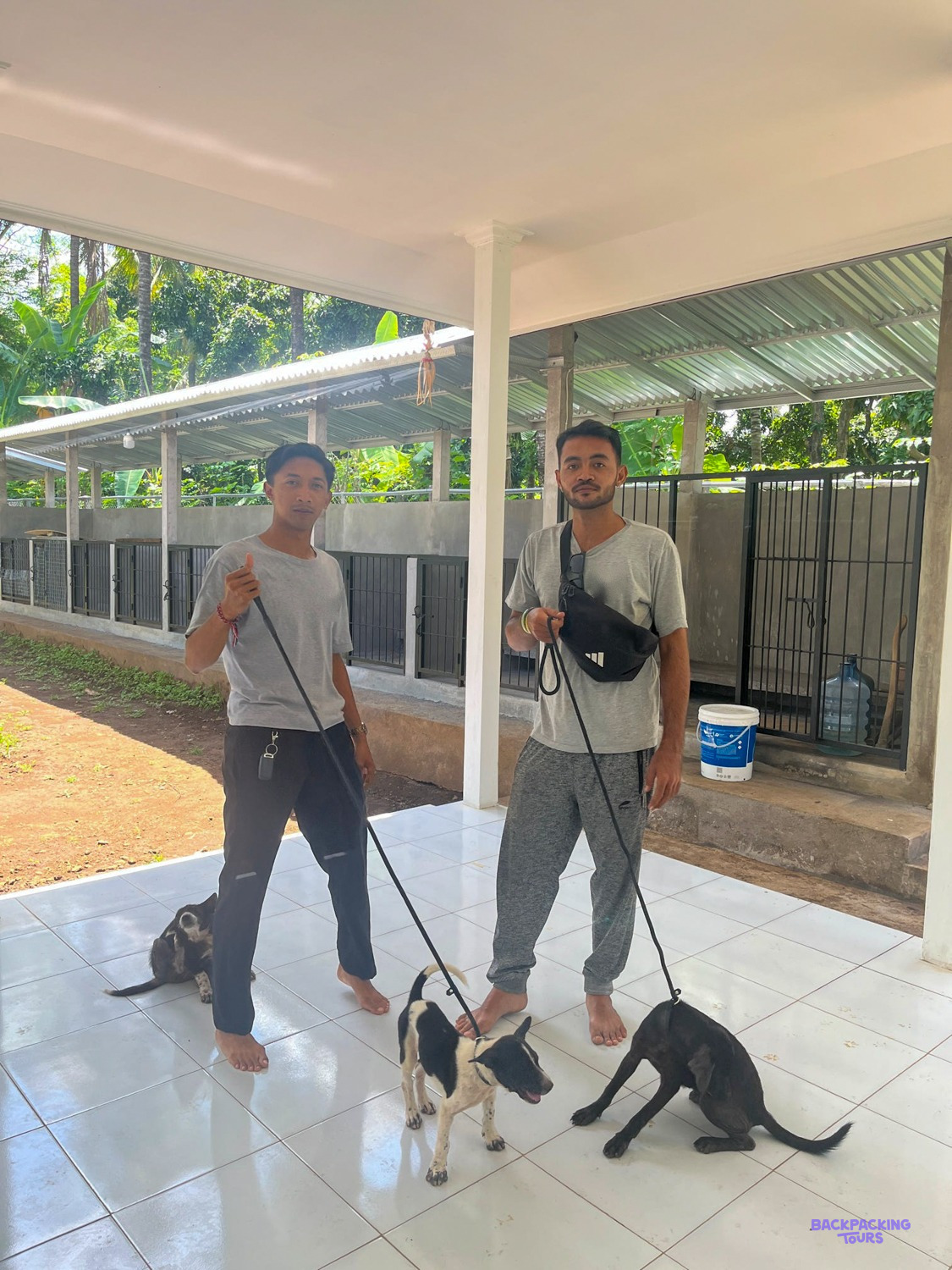 Two of the local team stand on a tiled veranda with three dogs on leads by the kennels.