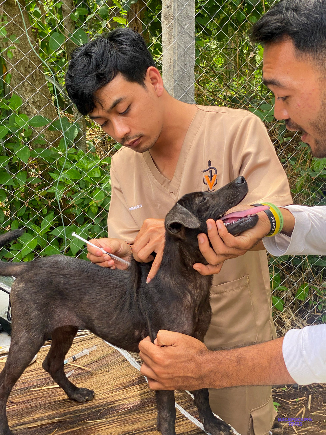 A vet in a tan uniform gives a black dog an injection while a colleague holds it.