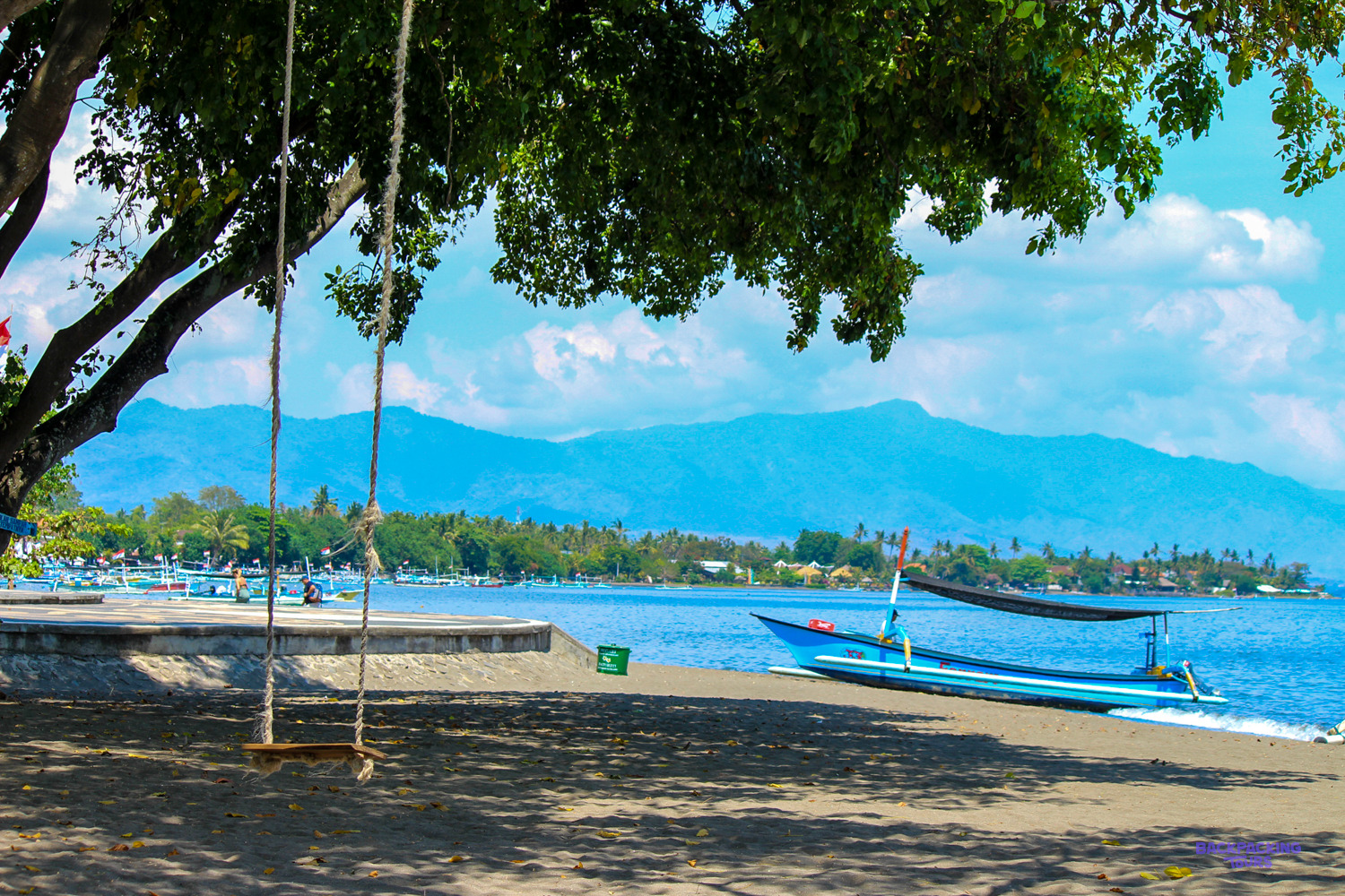 A rope swing hangs from a shady tree on the black-sand beach, with mountains beyond.