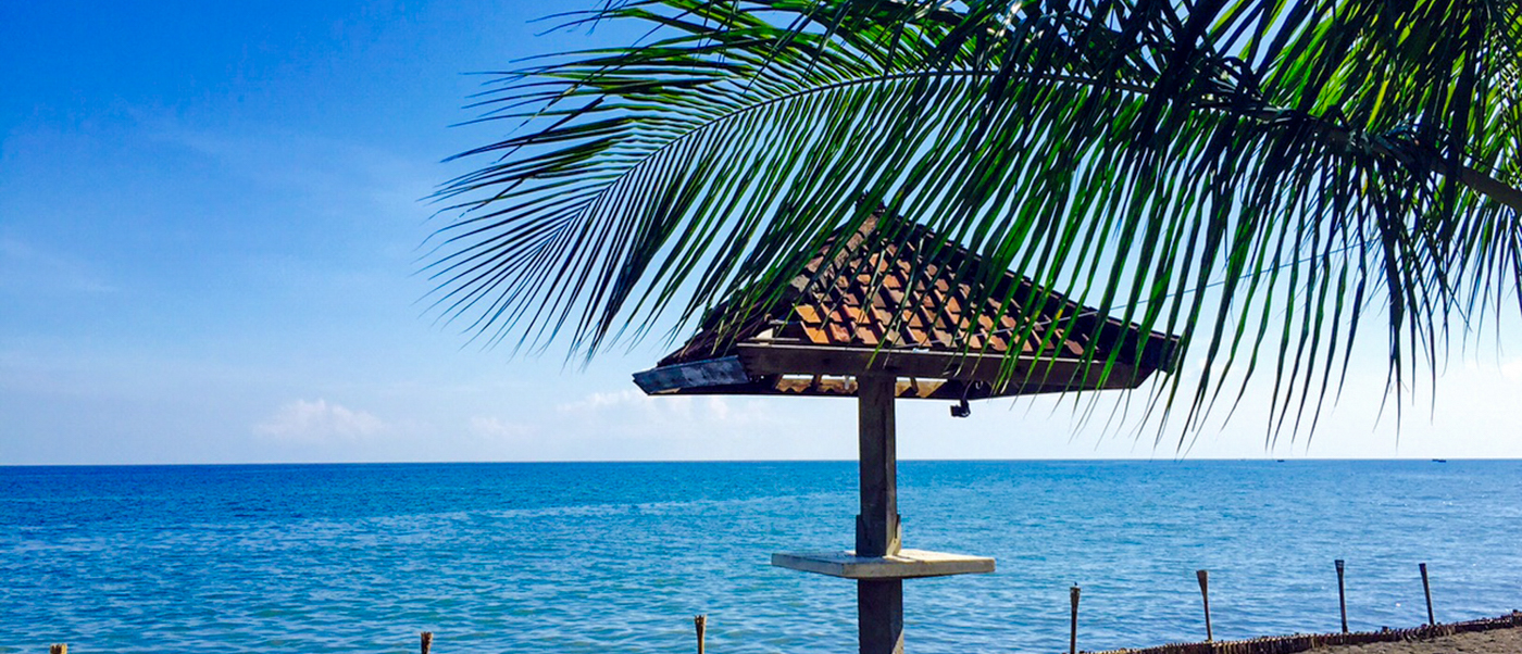 A thatched beach umbrella and palm fronds frame the calm blue sea from the sand.