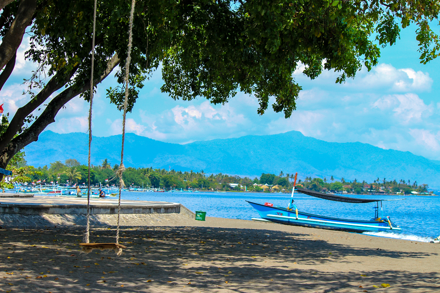 A rope swing hangs from a shady tree on the black-sand beach, with mountains beyond.