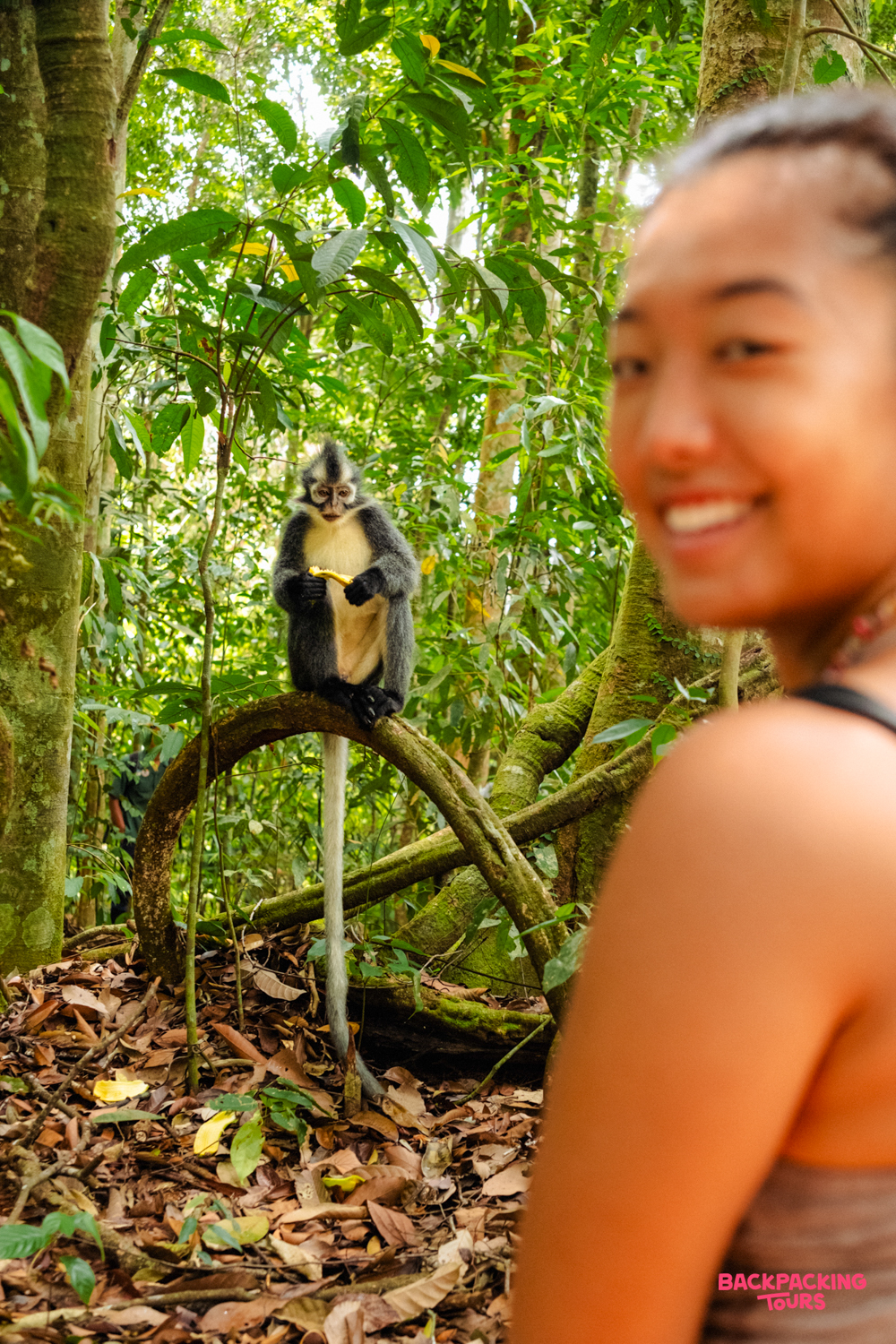 A smiling traveler observes a leaf monkey eating a banana in the lush Bukit Lawang rainforest.