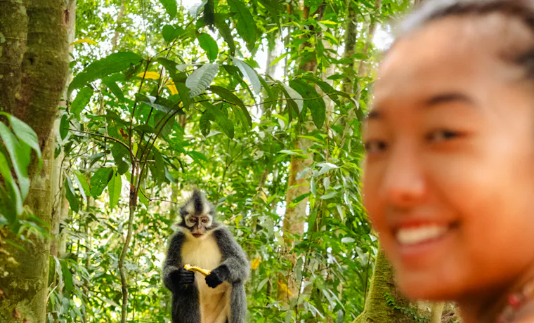A smiling traveler observes a leaf monkey eating a banana in the lush Bukit Lawang rainforest.