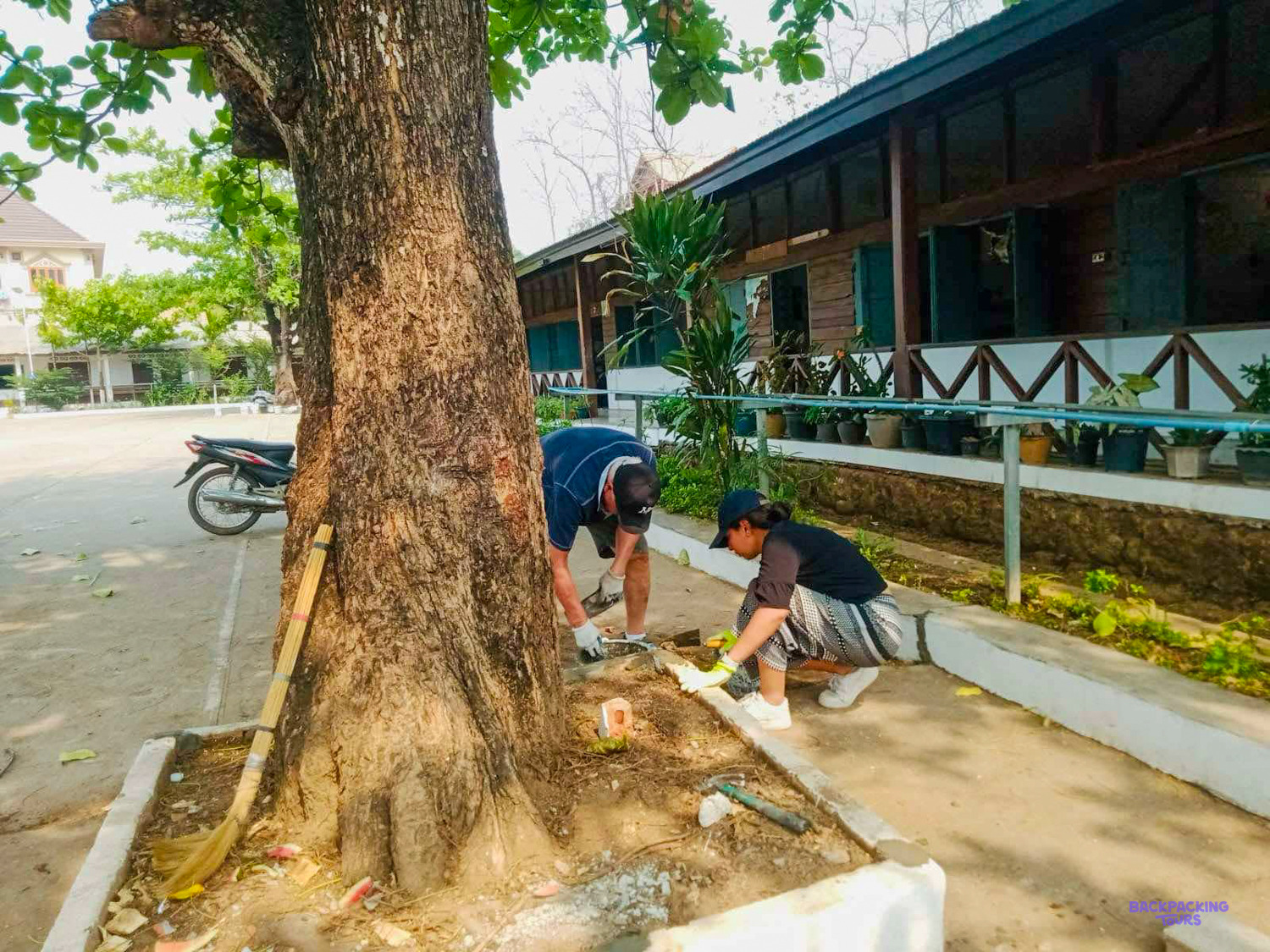 Volunteers rebuild the kerb round a big shade tree in a school yard beside the classrooms.