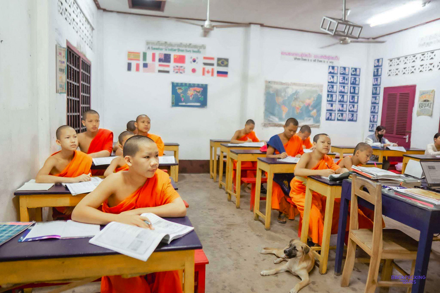 Novice monks in orange robes study at yellow desks while a dog sleeps on the classroom floor.
