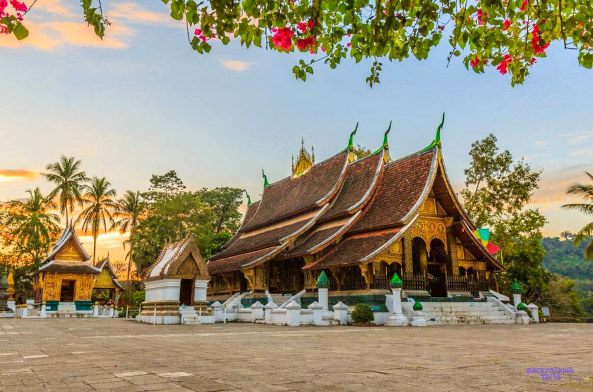 Wat Xieng Thong glows at sunset beneath pink bougainvillea and tall palm trees in Luang Prabang.