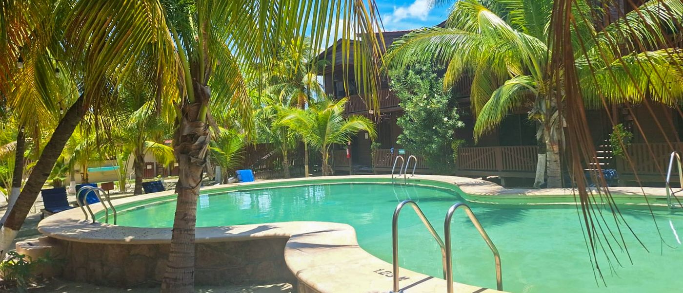 A tranquil swimming pool surrounded by lush palm trees and resort buildings on Isla Holbox.