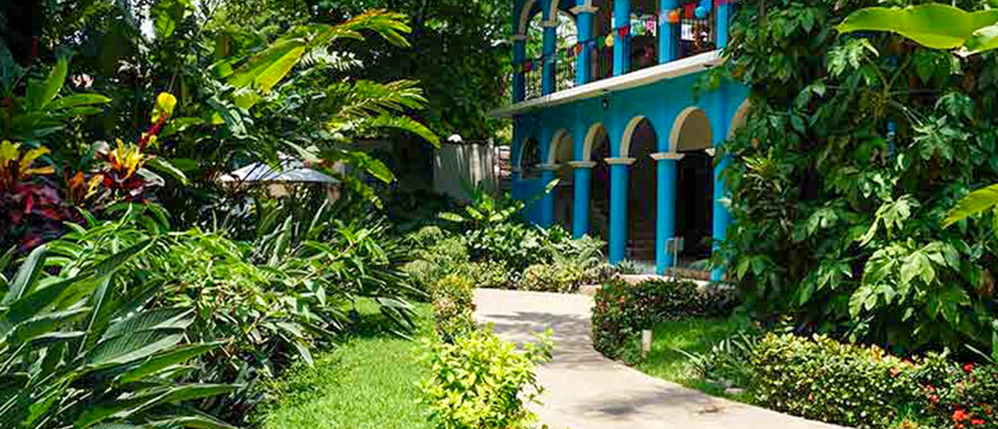 Lush tropical garden with a winding path leading to a vibrant blue hotel building in Tehuantepec.
