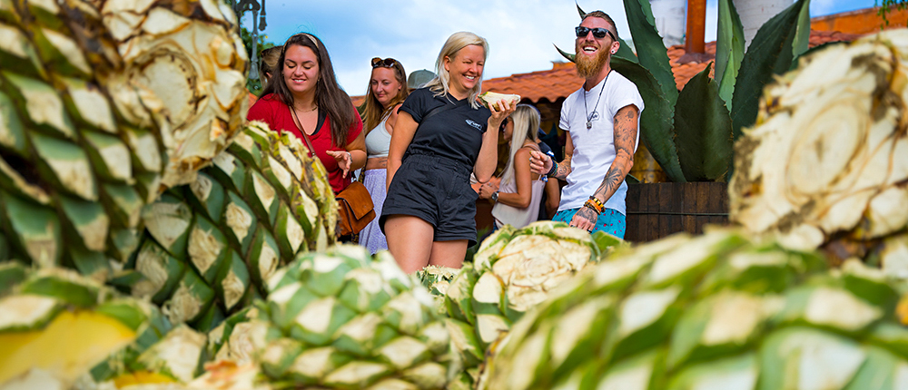 Smiling travelers examine large agave piñas, learning about the plant in an outdoor setting.