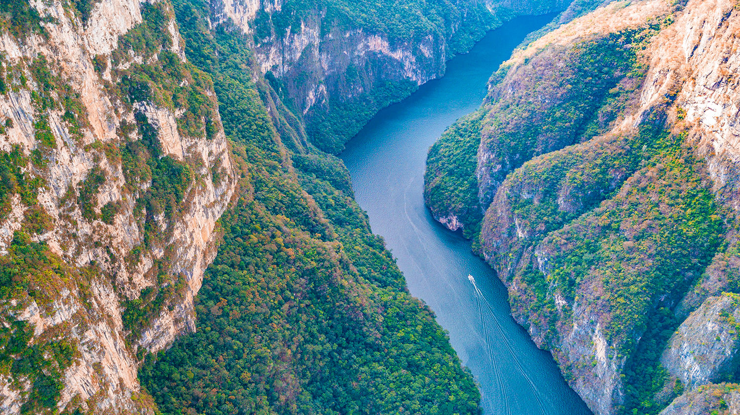 A deep blue river flows through the lush, green Sumidero Canyon in Mexico, a boat visible.