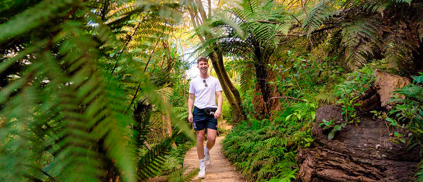 A young man smiles while walking on a lush, fern-lined path in Hobbiton.