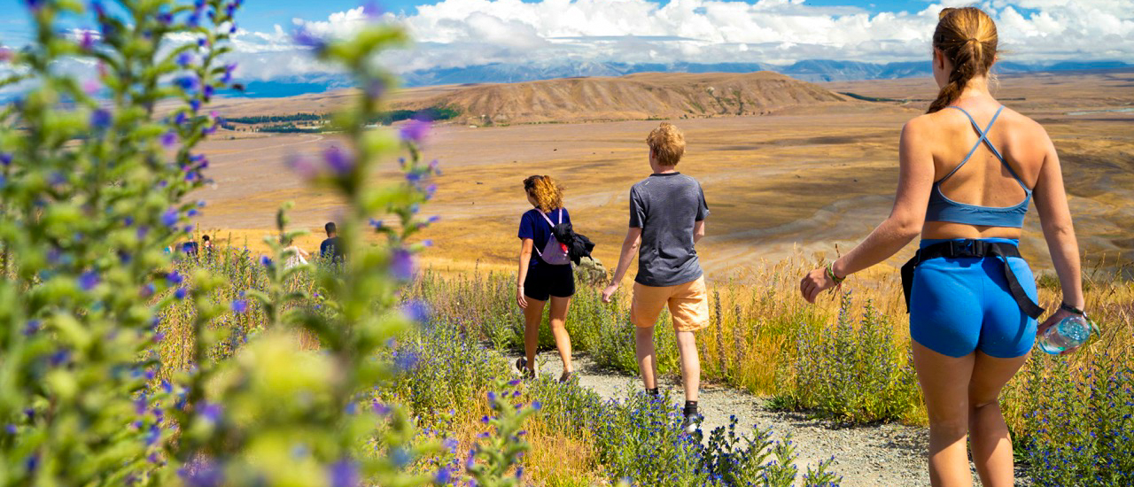 Three hikers walk a winding path through wildflowers with Lake Tekapo and mountains in the distance.