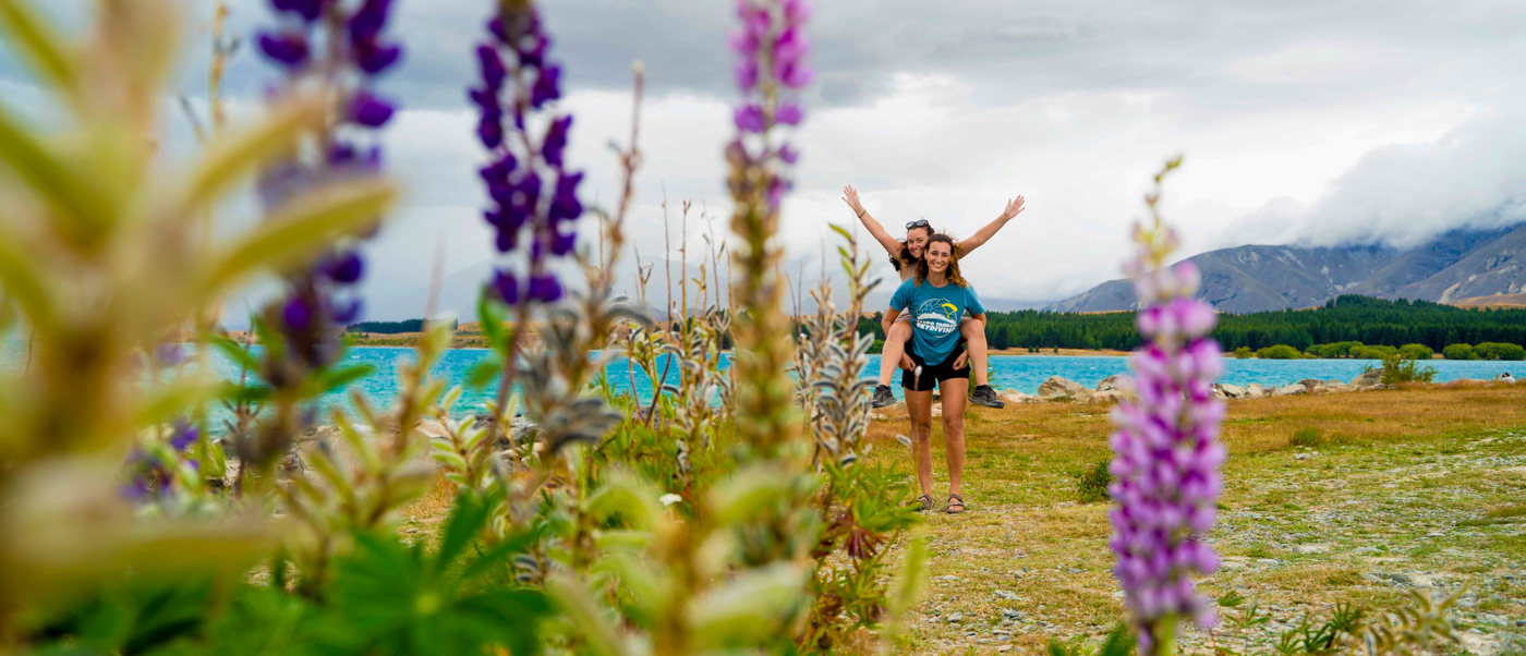 Two friends piggyback through vibrant purple lupins beside the bright turquoise Lake Tekapo.