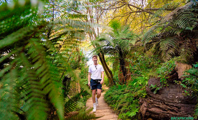 A happy backpacker explores the magical, fern-filled forest paths of Hobbiton in New Zealand.