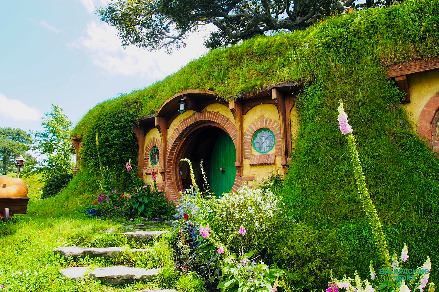 A charming Hobbit hole with a round green door nestled into a grassy hill at Hobbiton, New Zealand.