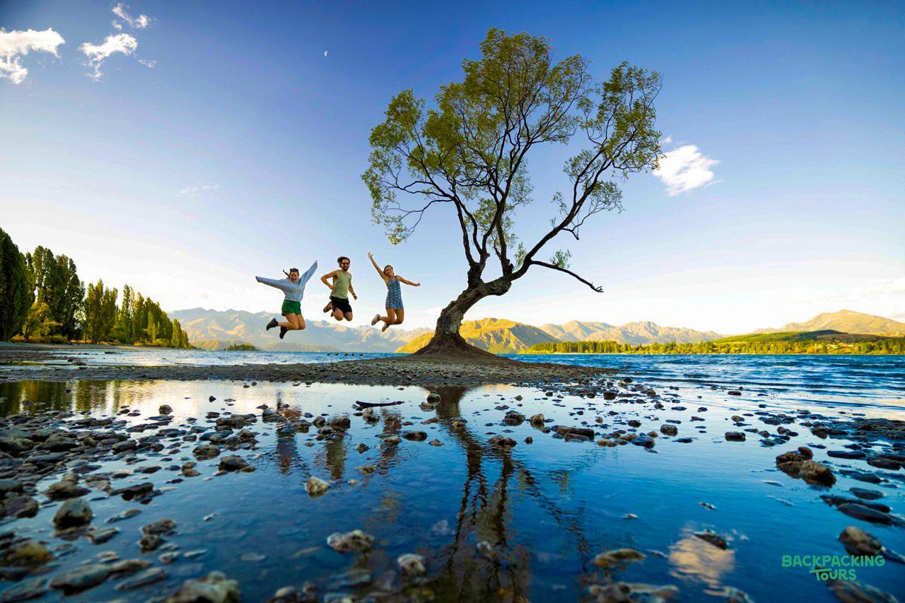 Three friends jump for joy by the iconic Wānaka Tree, reflected in the calm lake.