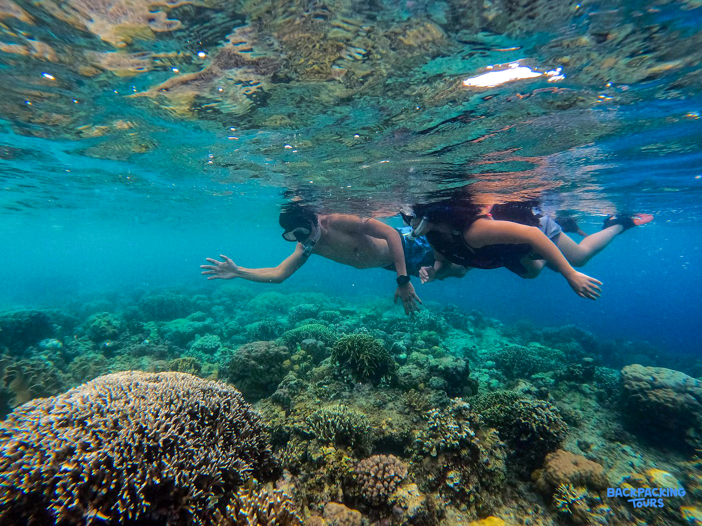 Two snorkelers explore a vibrant coral reef in the clear blue waters of Moalboal.