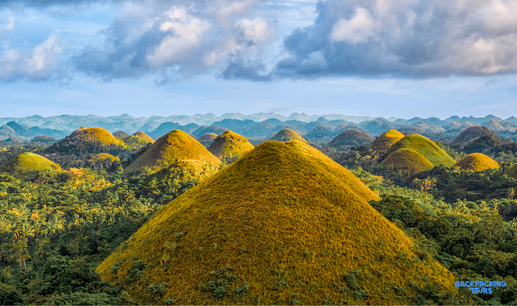 Panoramic view of Bohol's iconic Chocolate Hills, with golden-brown grass and lush green trees.