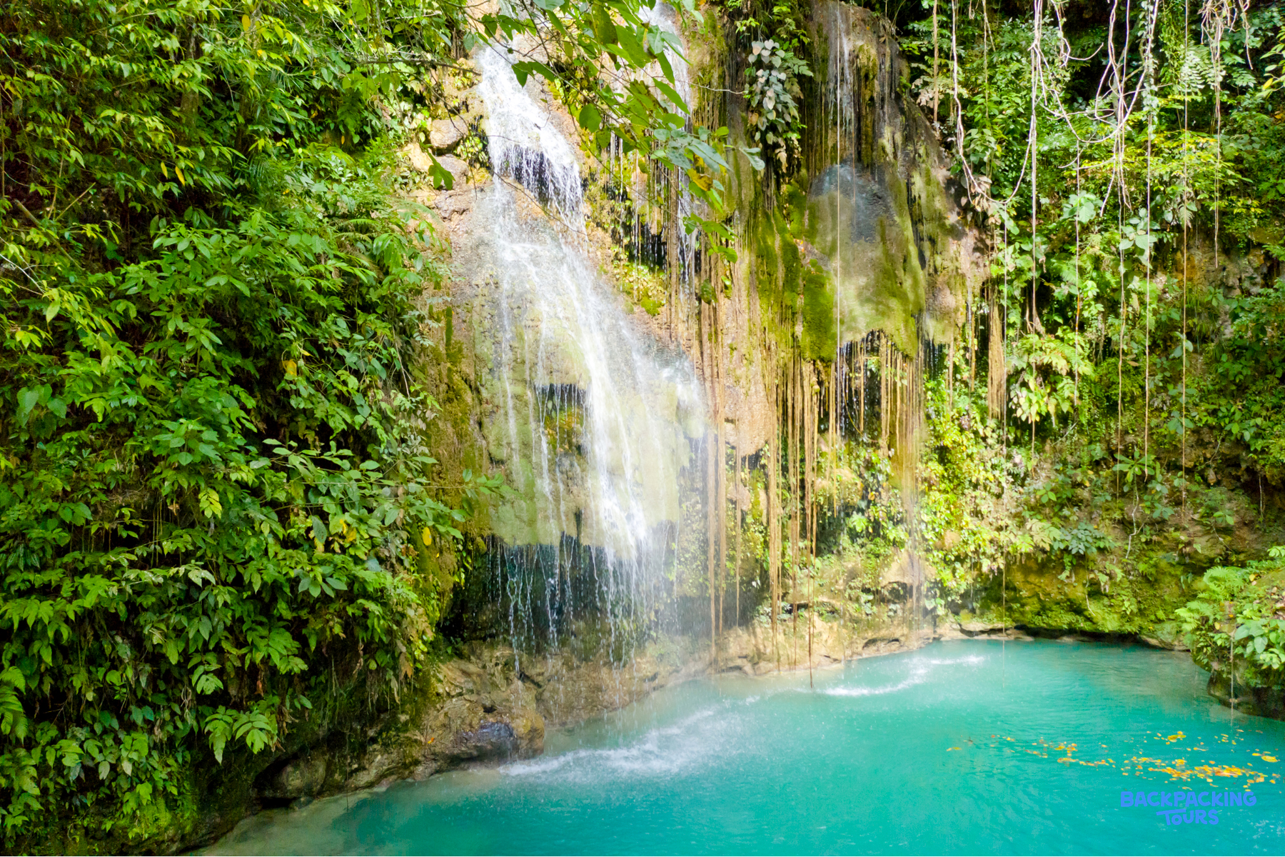 A stunning waterfall cascades into a vibrant turquoise swimming hole, surrounded by lush green tropical plants.