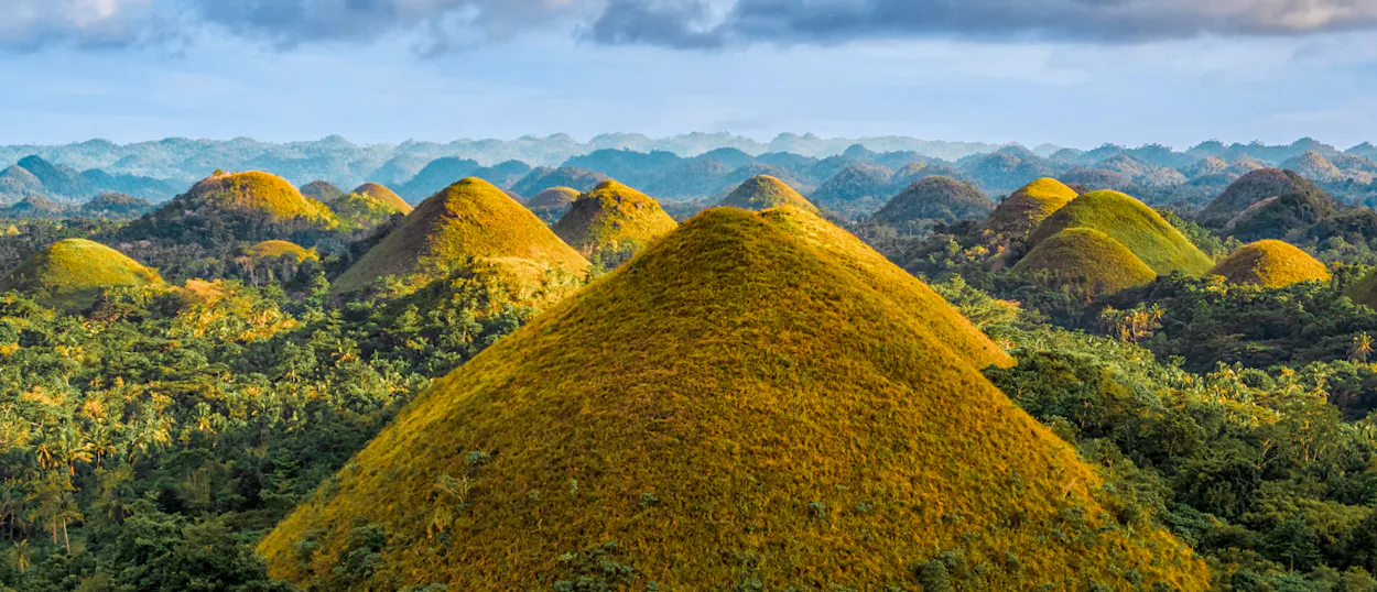 Panoramic view of the iconic Chocolate Hills in Bohol, with golden-brown and green grassy mounds.