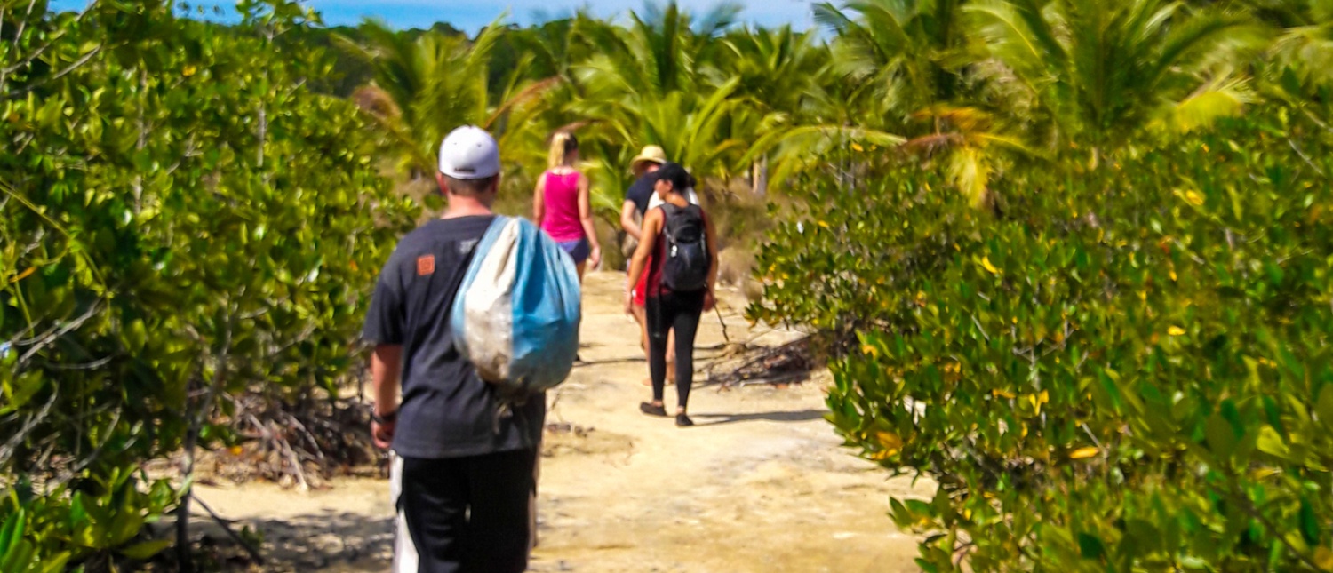 Tourists walk a sandy path through dense green mangroves in the Philippines.