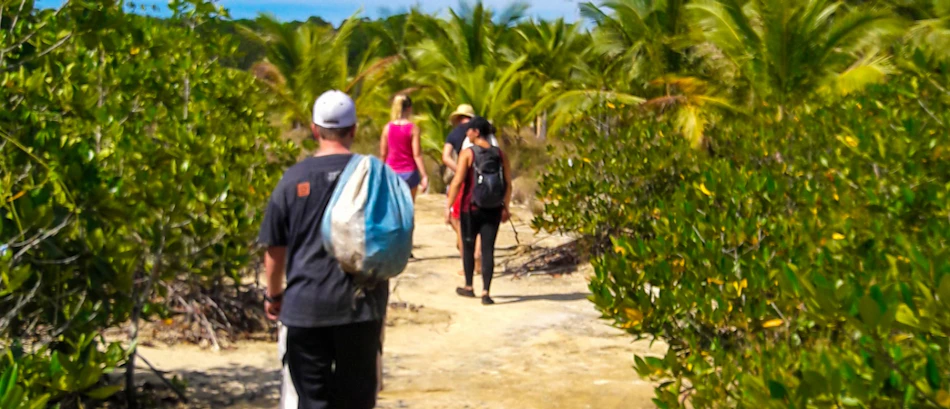 Tourists walk a sandy path through dense green mangroves in the Philippines.
