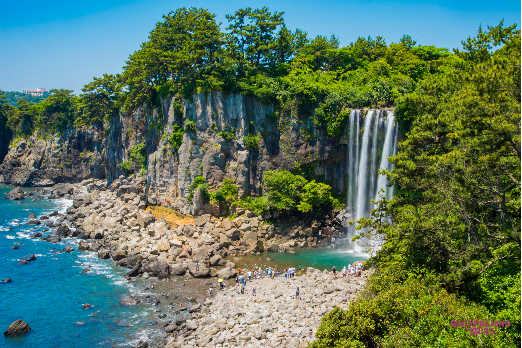 Tourists marvel at Jeongbang Waterfall, plunging over green cliffs onto the rocky oceanfront of Jeju Island.