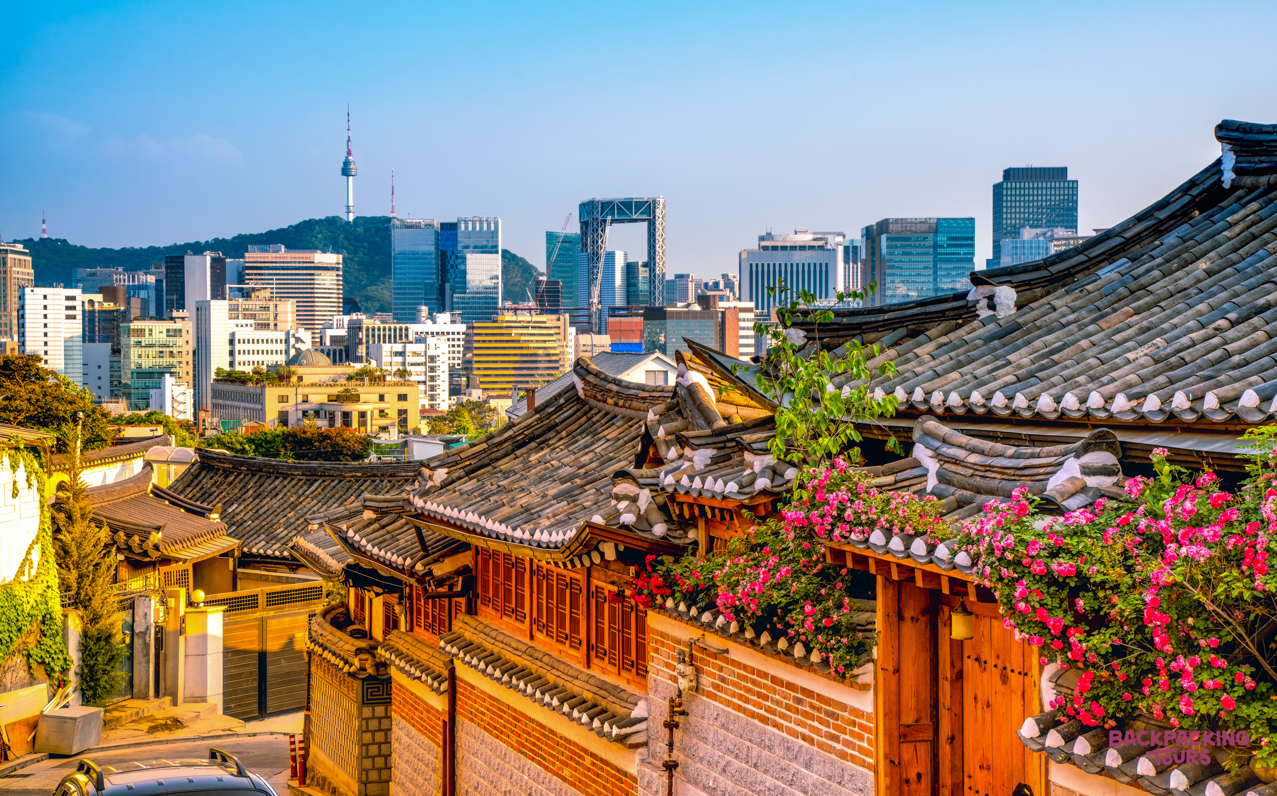 Traditional hanok roofs with vibrant pink flowers contrast with the modern Seoul skyline and Namsan Tower.