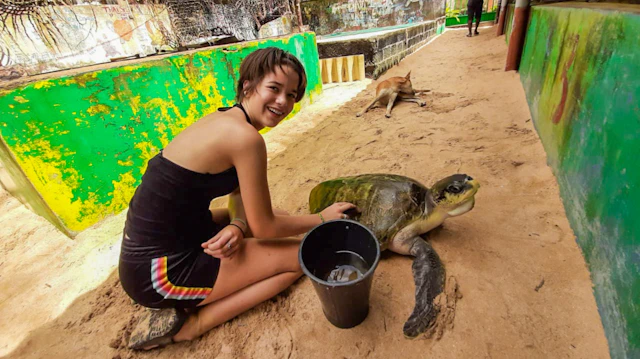 Turtle Conservation: Sri Lanka