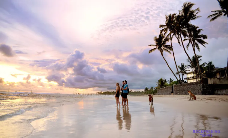 Golden sand and warm water on the Sri Lankan coast