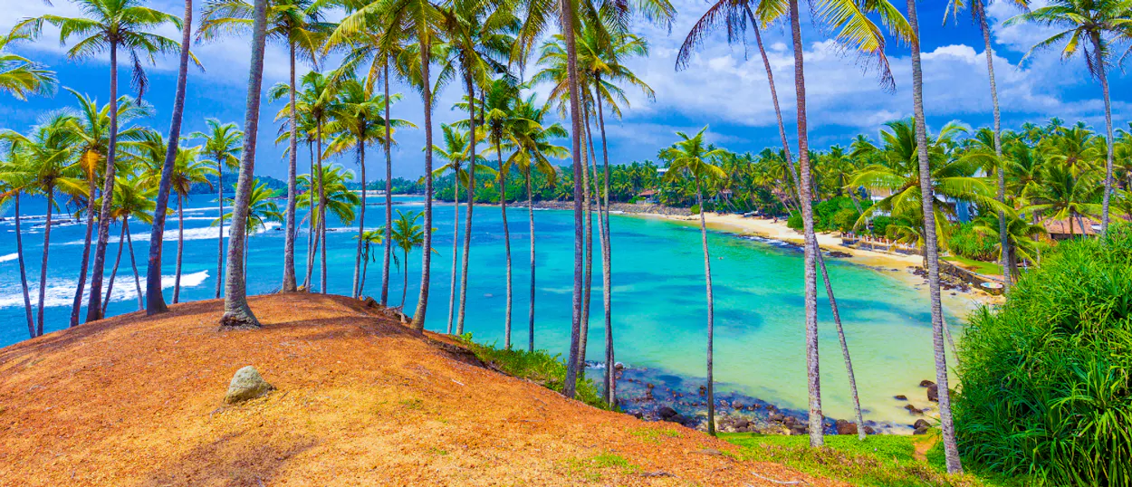 Palm trees on a reddish hill overlooking the turquoise waters of Unawatuna beach in Sri Lanka.