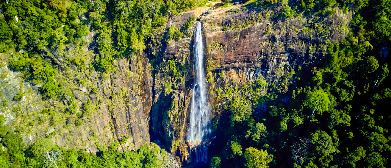 Diyaluma Falls, a tall waterfall, plunges down a rocky cliff surrounded by lush green Sri Lankan jungle.