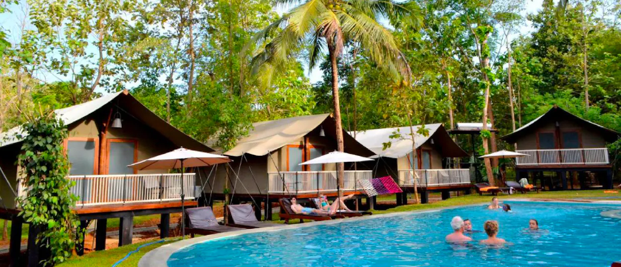 Guests relax by a swimming pool with safari-style tents and tropical trees in Udawalawe.