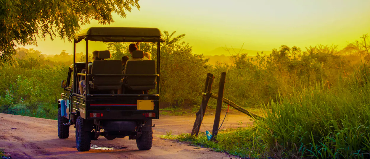A safari jeep with passengers drives down a dirt road in Udawalawe National Park, Sri Lanka, at sunrise.