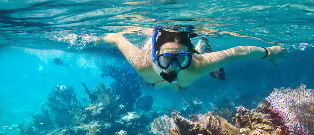 A person snorkels above a vibrant coral reef, exploring the clear blue waters of Koh Tao.