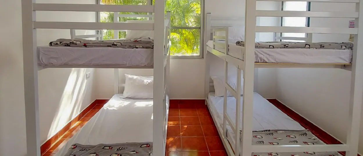 Bright sunlight illuminates a clean room with two white bunk beds, white sheets, and a window to greenery.