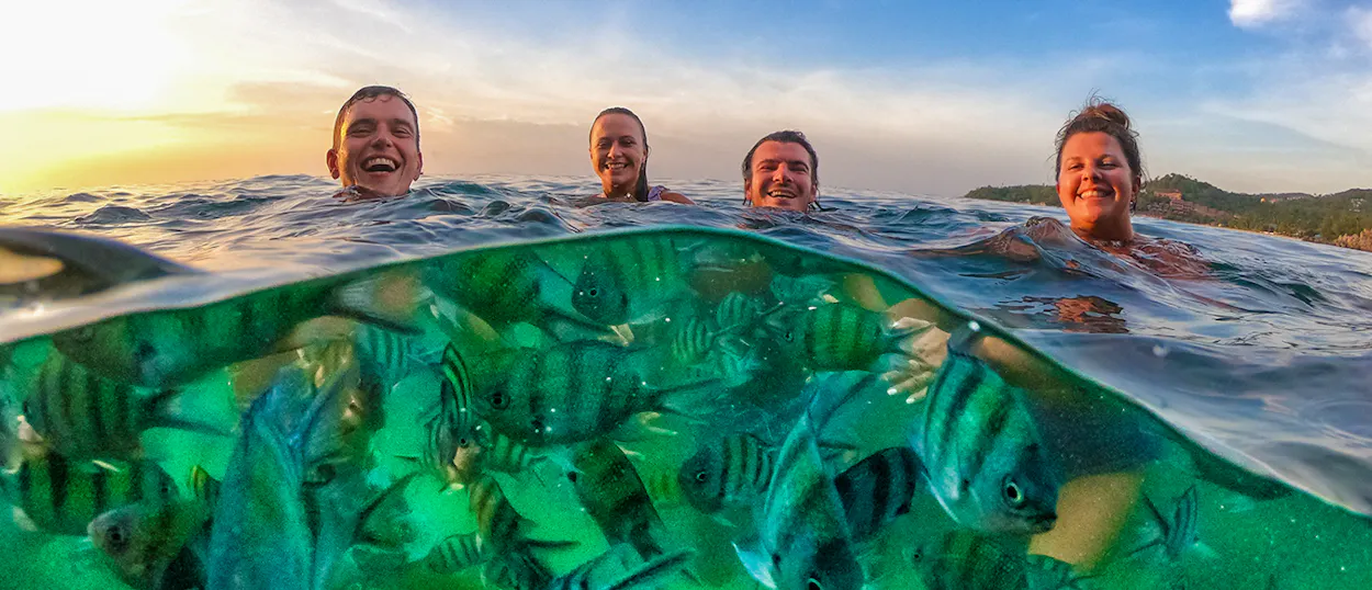 Four happy travelers swim with striped fish in the clear waters of Koh Phangan at sunset.