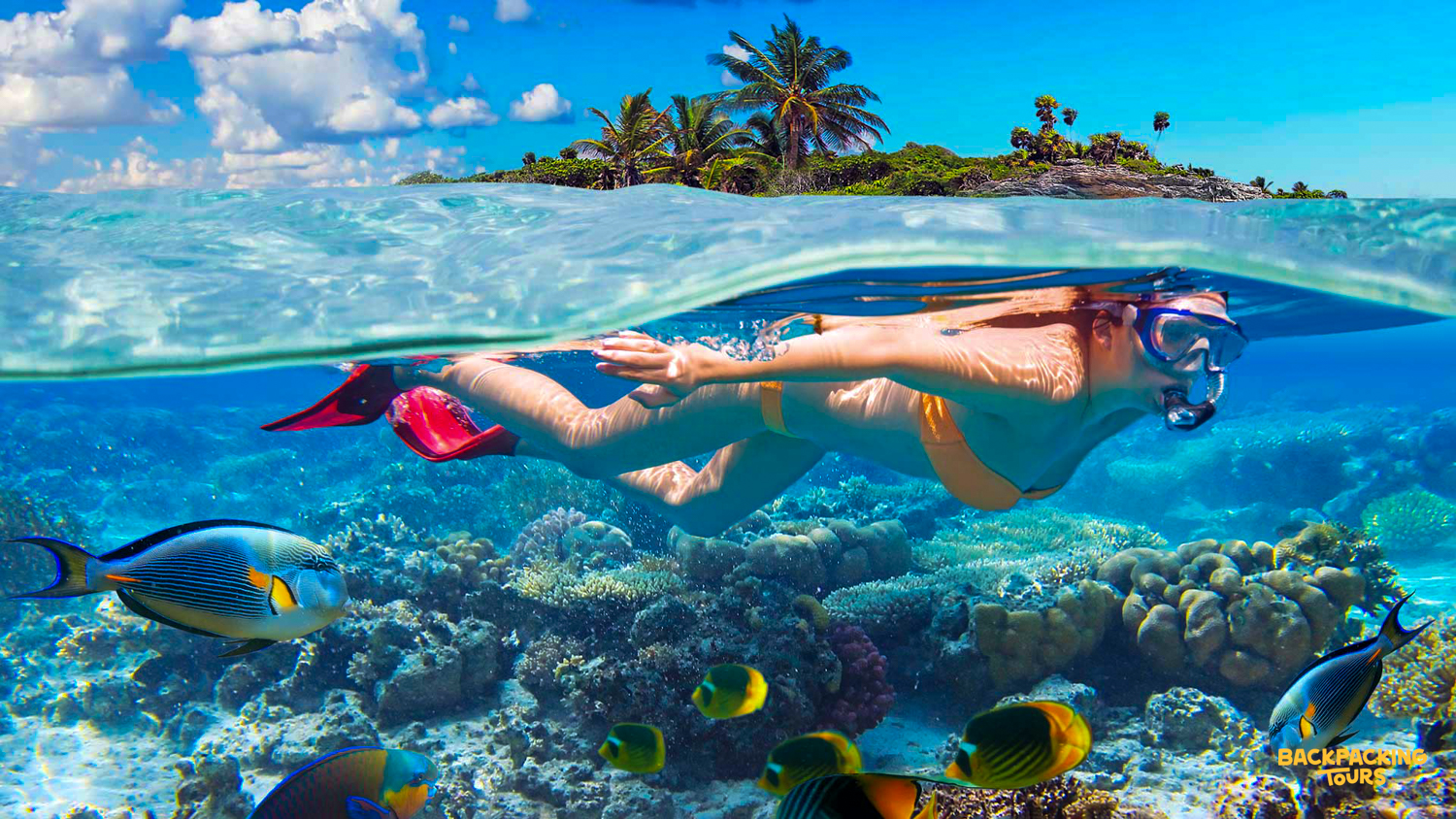 A woman snorkels in the clear blue waters of Koh Samui, with a vibrant coral reef below.