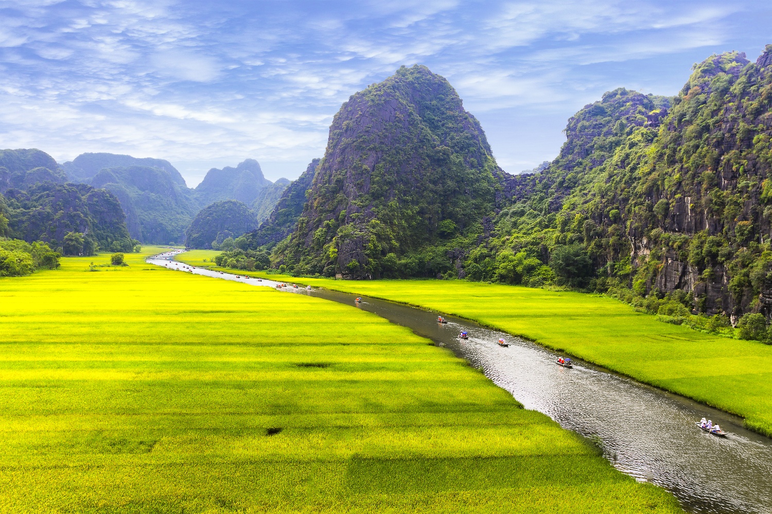 Boats on a winding river through vibrant green rice paddies and towering limestone mountains in Vietnam.