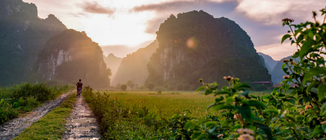 A person walks along a path through green rice paddies with dramatic limestone mountains at sunset in Ninh Binh.