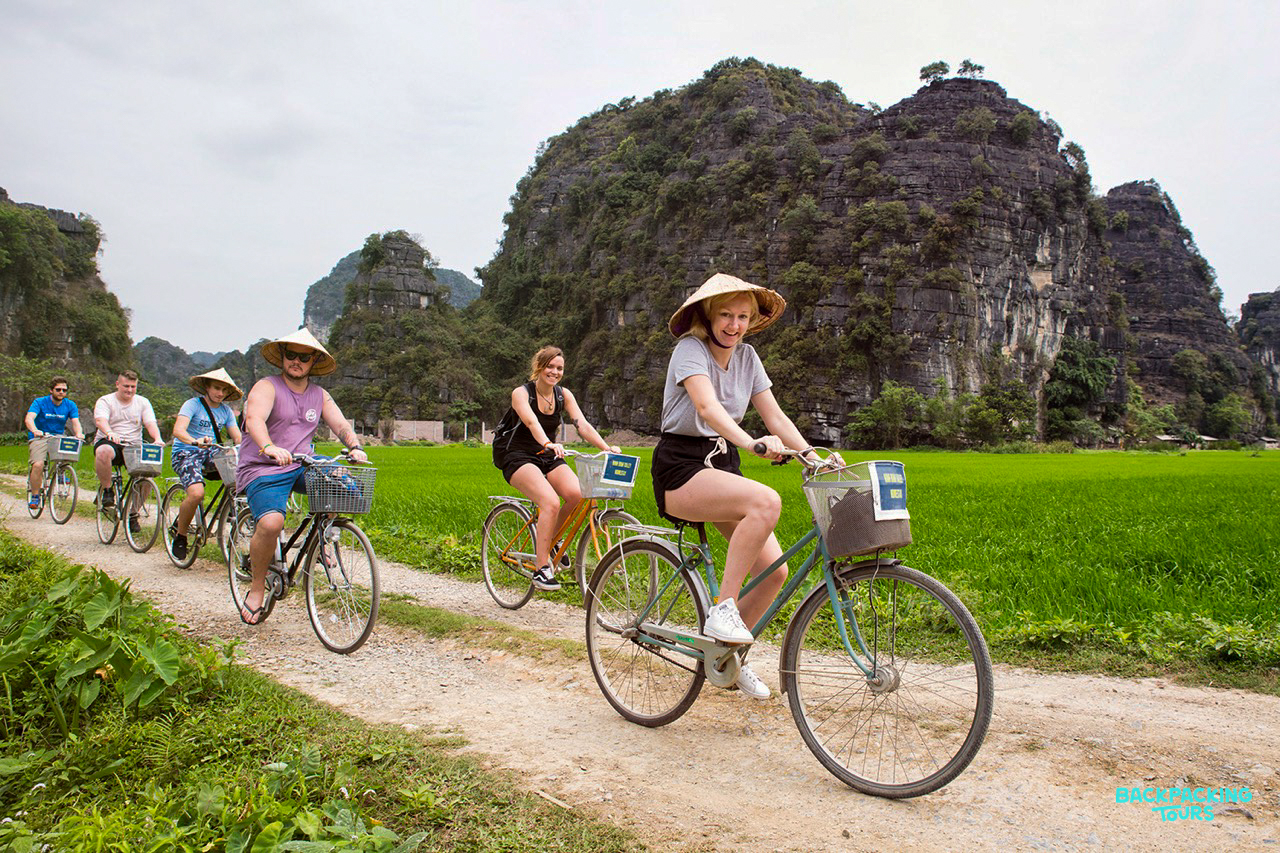 Backpackers cycle through vibrant green rice paddies with majestic limestone mountains in Ninh Binh.