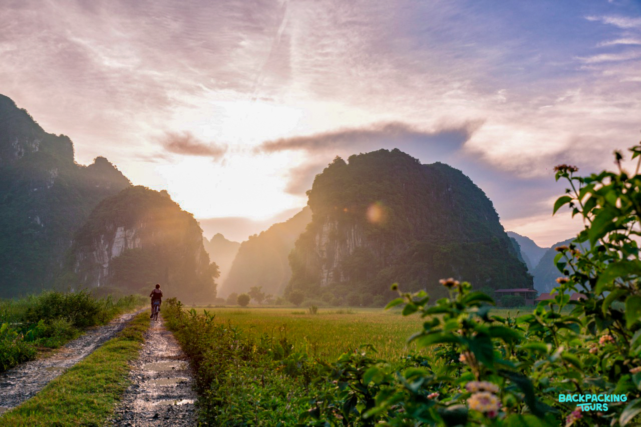 A person walks a path through green rice paddies with dramatic limestone mountains at sunset, Ninh Binh.