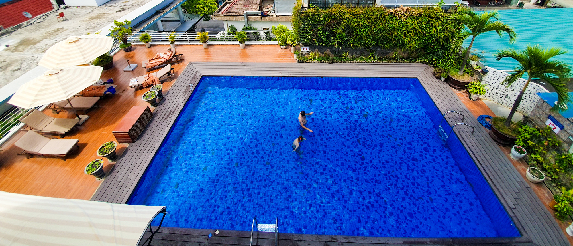 Guests relax and swim in a bright blue rooftop pool with lounge chairs and green plants.