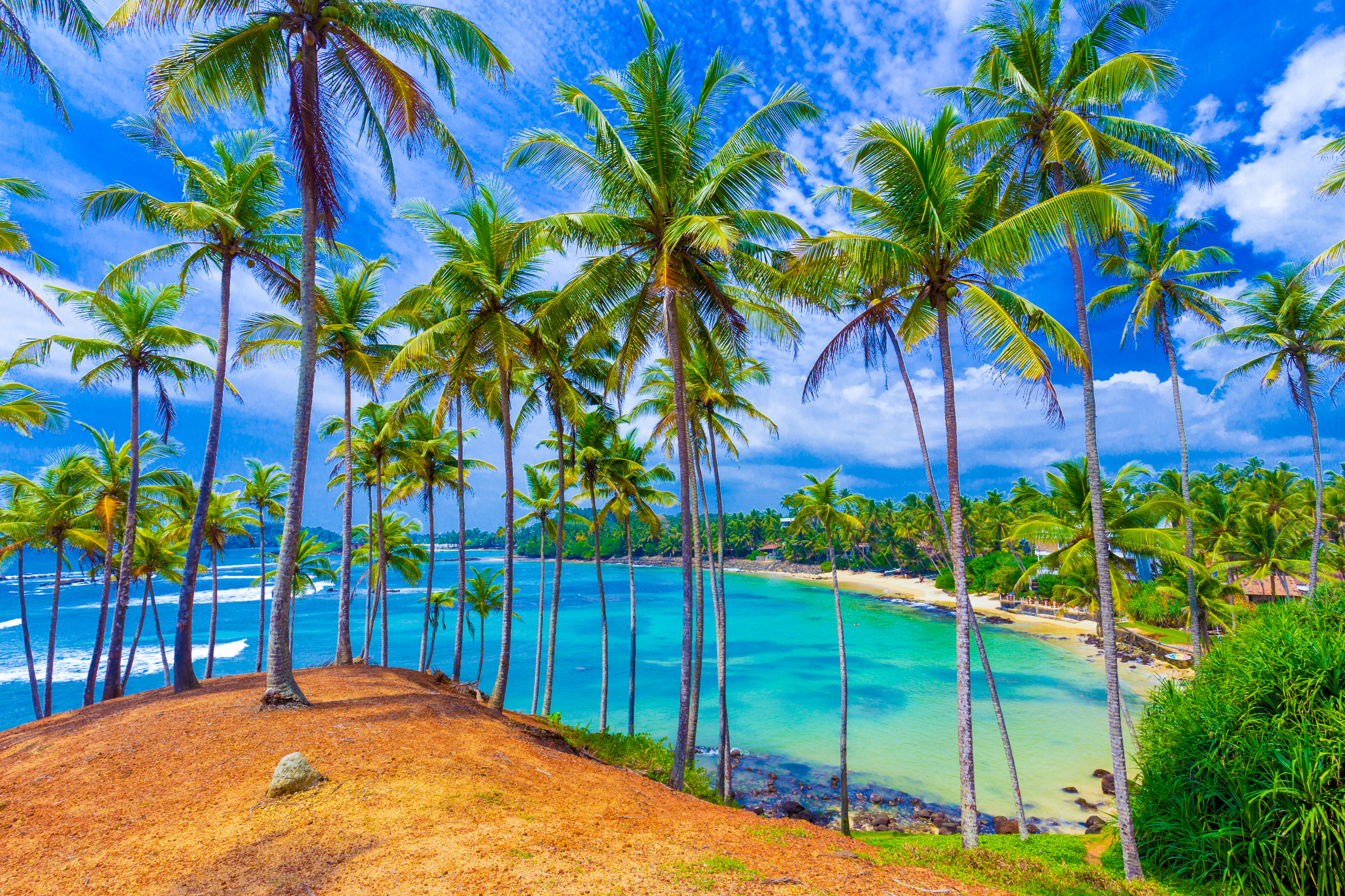 Tall palm trees overlook a beautiful turquoise bay and sandy beach in Sri Lanka.